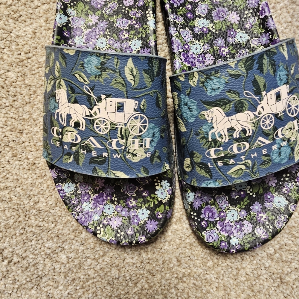 Coach slides